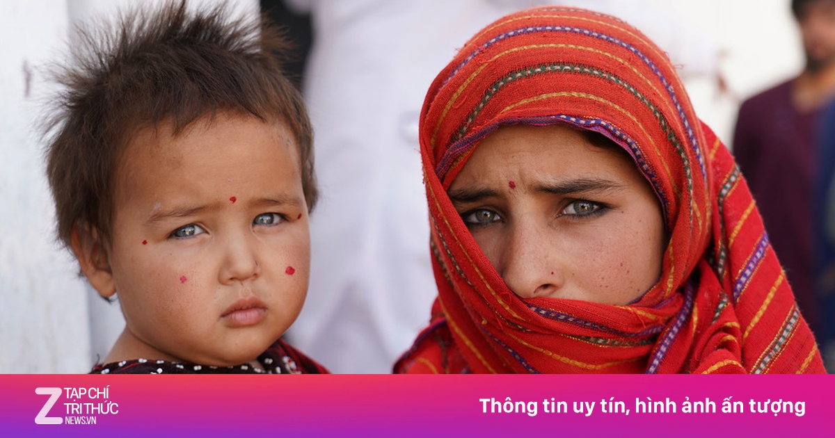 zingnews.vn