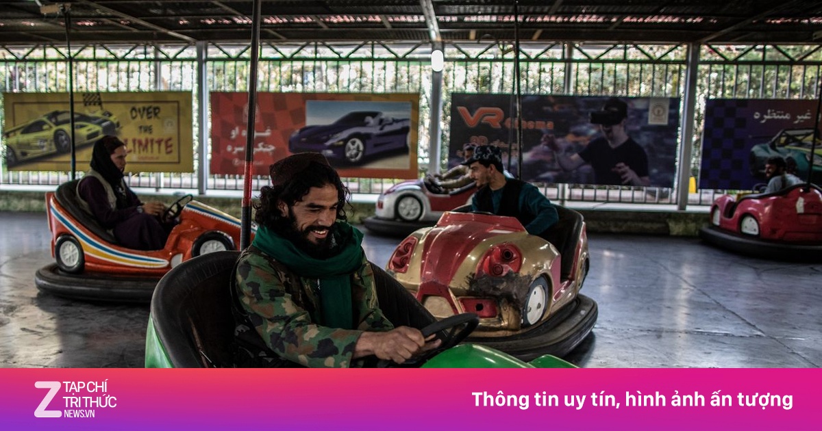 zingnews.vn