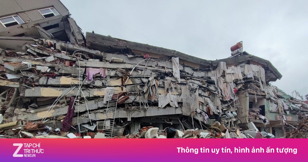 zingnews.vn