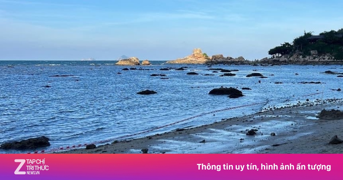 Giăng lưới bảo vệ san hô Nha Trang sau vụ TikToker 'sống ảo'