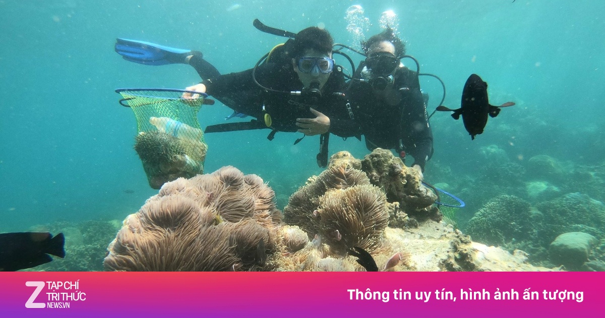 Mất mát lớn của vịnh Nha Trang