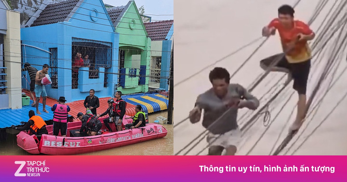 Bão lụt '300 năm có một': Phố thành sông, dân Thái Lan đu dây điện