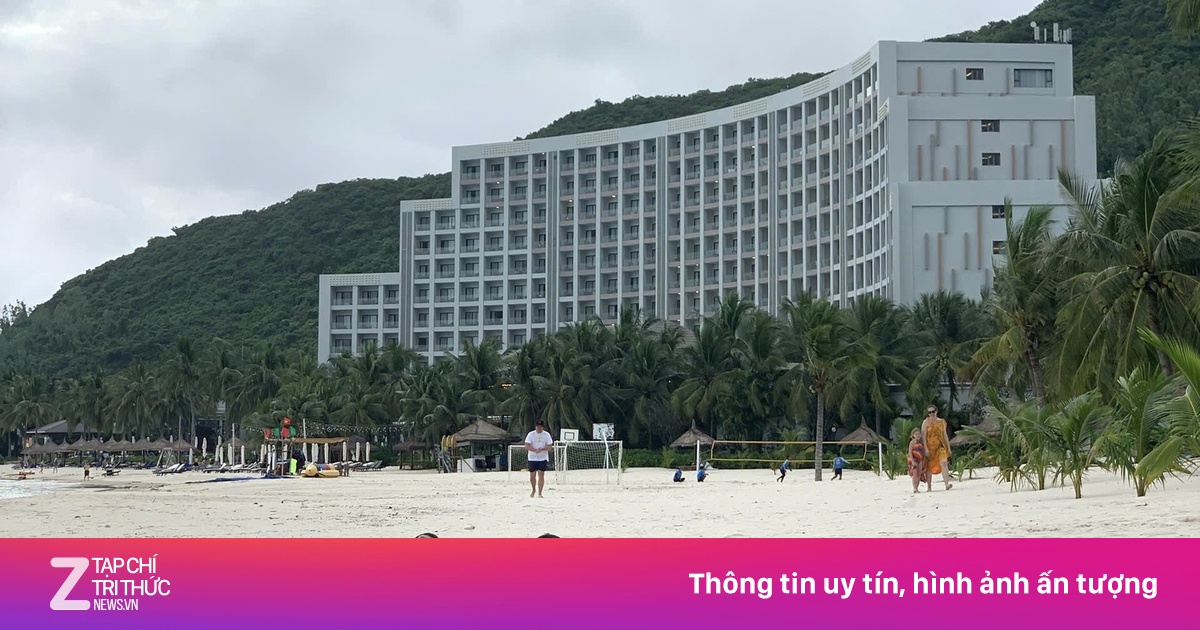 Đàn vịt 'lạc trôi' theo lũ dữ đến resort 5 sao ở Nha Trang giờ ra sao?