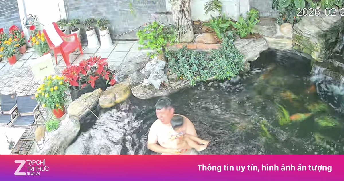 Vòng Dụt 2 Bố Con Ngã Xuống Hồ Cá Koi Trăm Triệu Gây Thót Tim