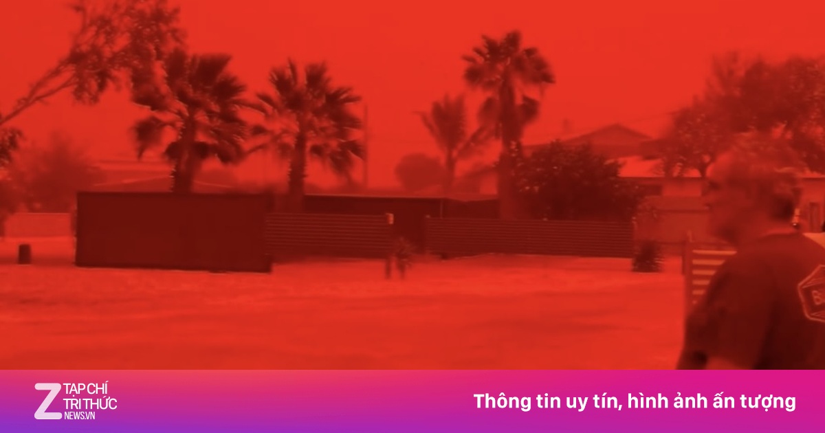 znews.vn