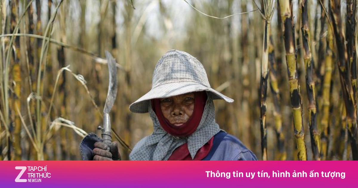 Châu Á ra sao trước đợt El Nino 'mạnh nhất'?