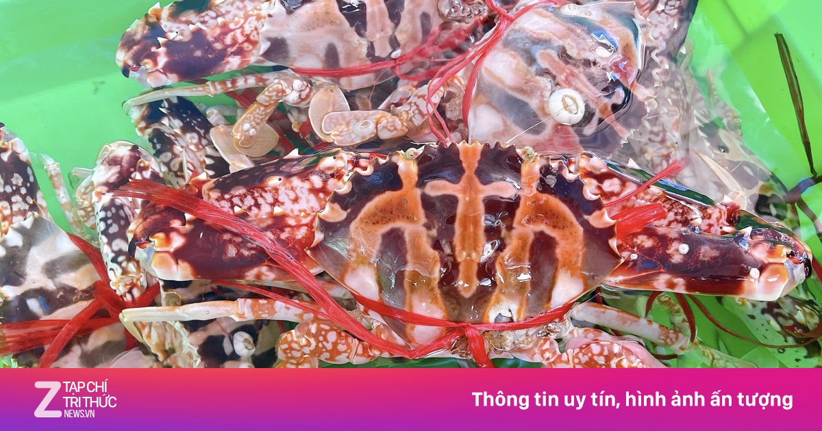 Tranh cãi 7 kg ghẹ đỏ hấp giá hơn 12 triệu đồng ở Sầm Sơn