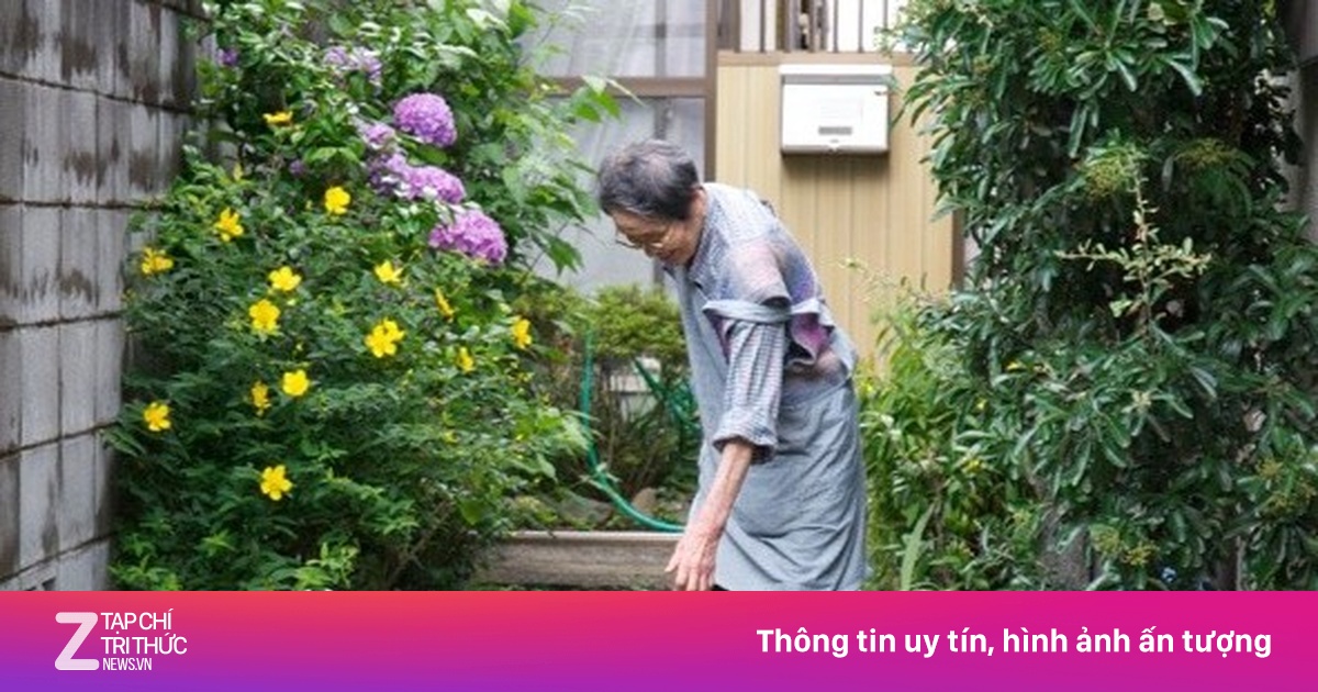 Vì sao một số người Nhật Bản chặt cây sau khi bị người khác xin quả?