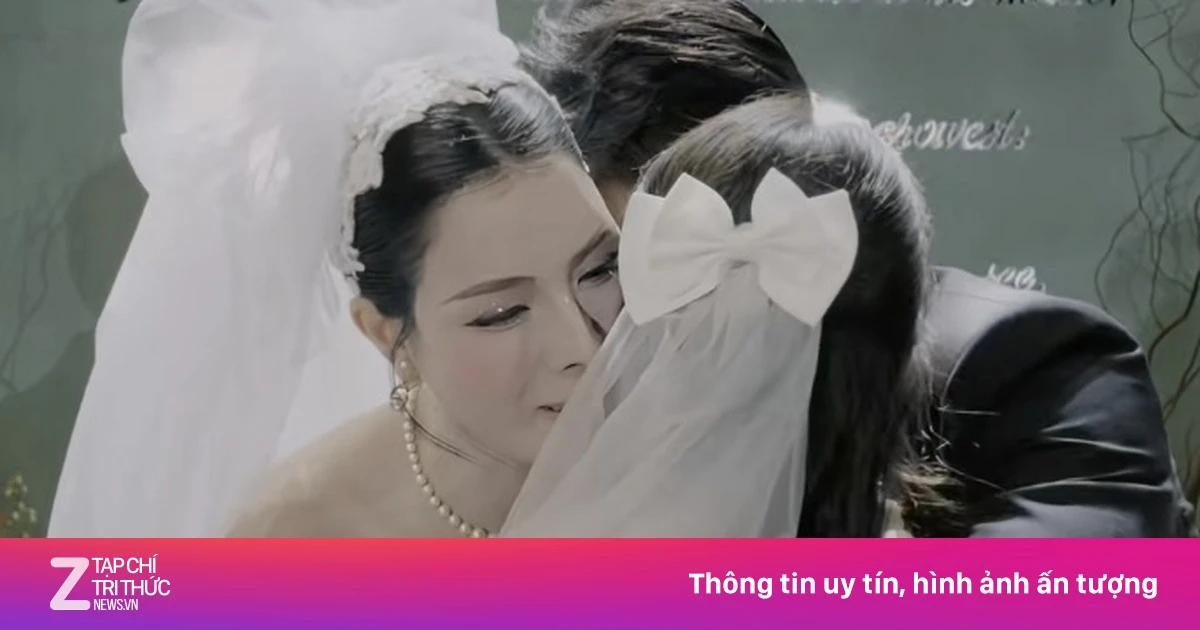 znews.vn