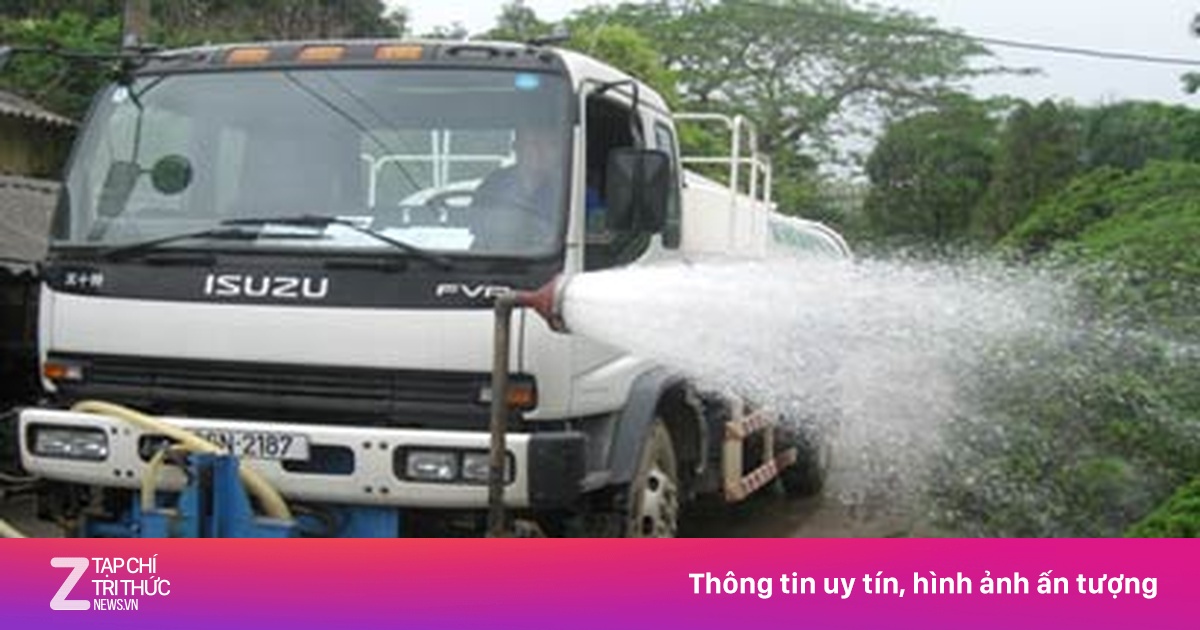 znews.vn