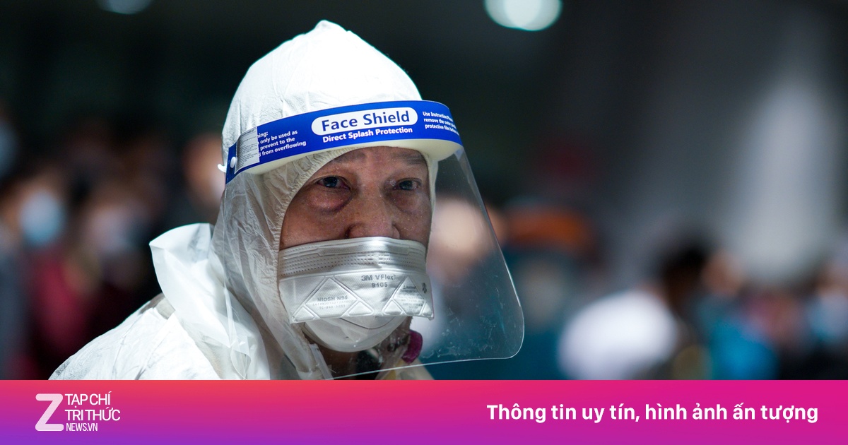 zingnews.vn