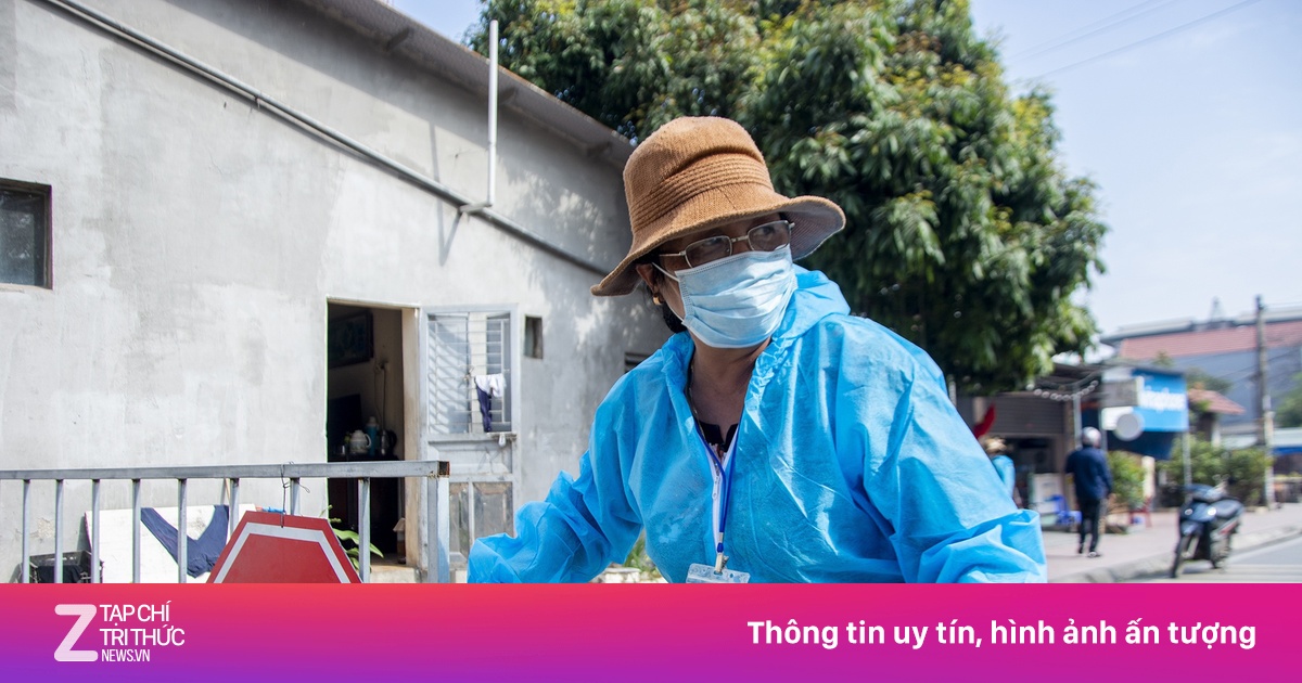 zingnews.vn