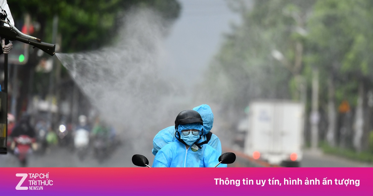 zingnews.vn
