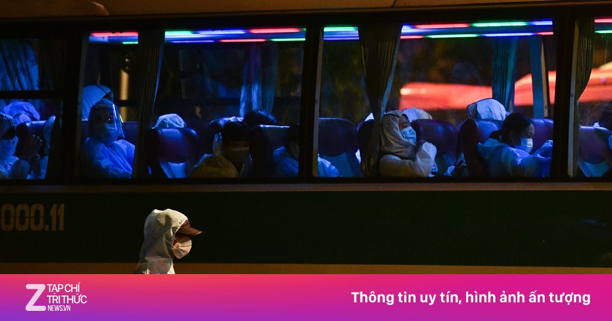 zingnews.vn