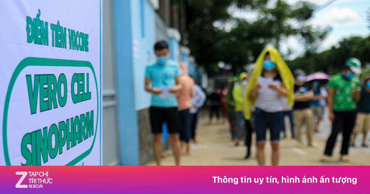 zingnews.vn