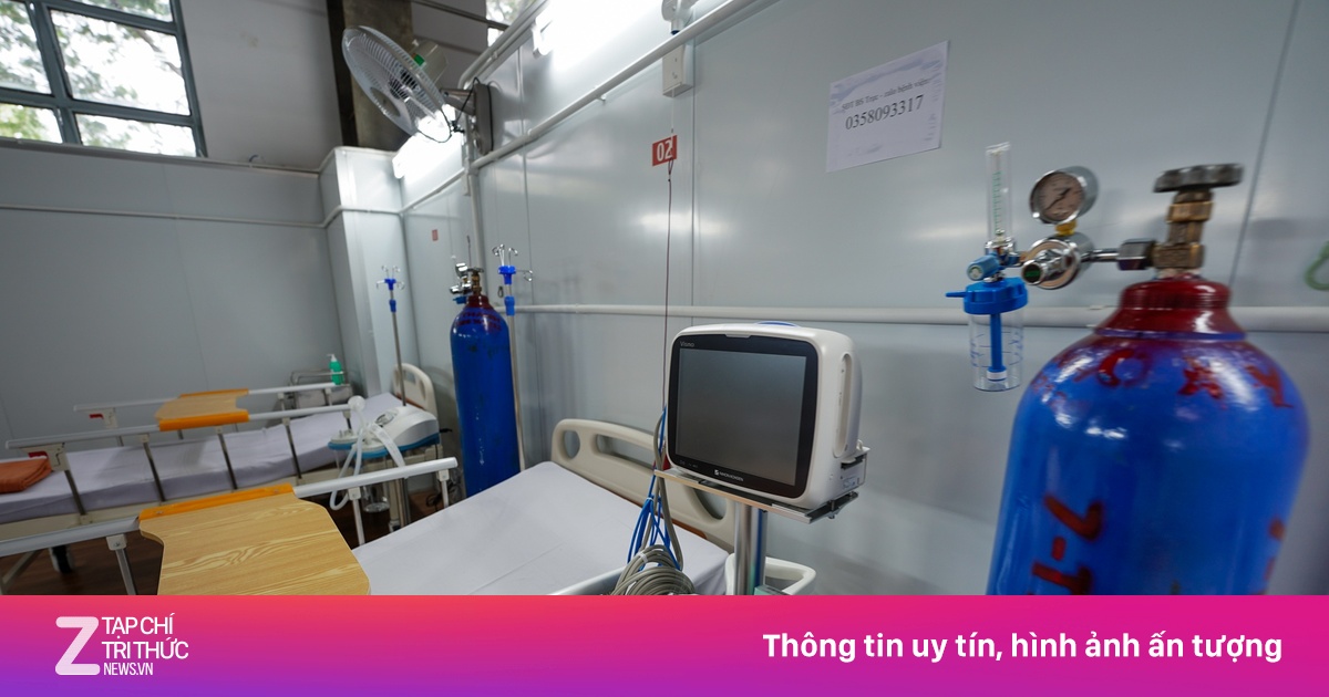 zingnews.vn