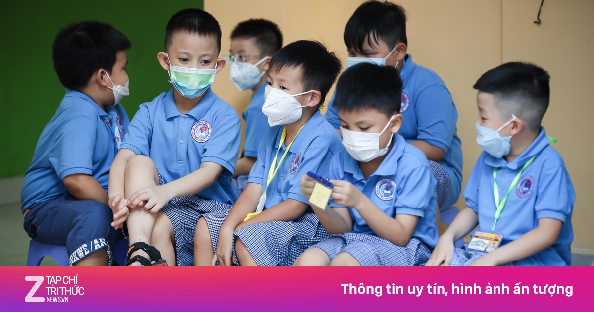 zingnews.vn