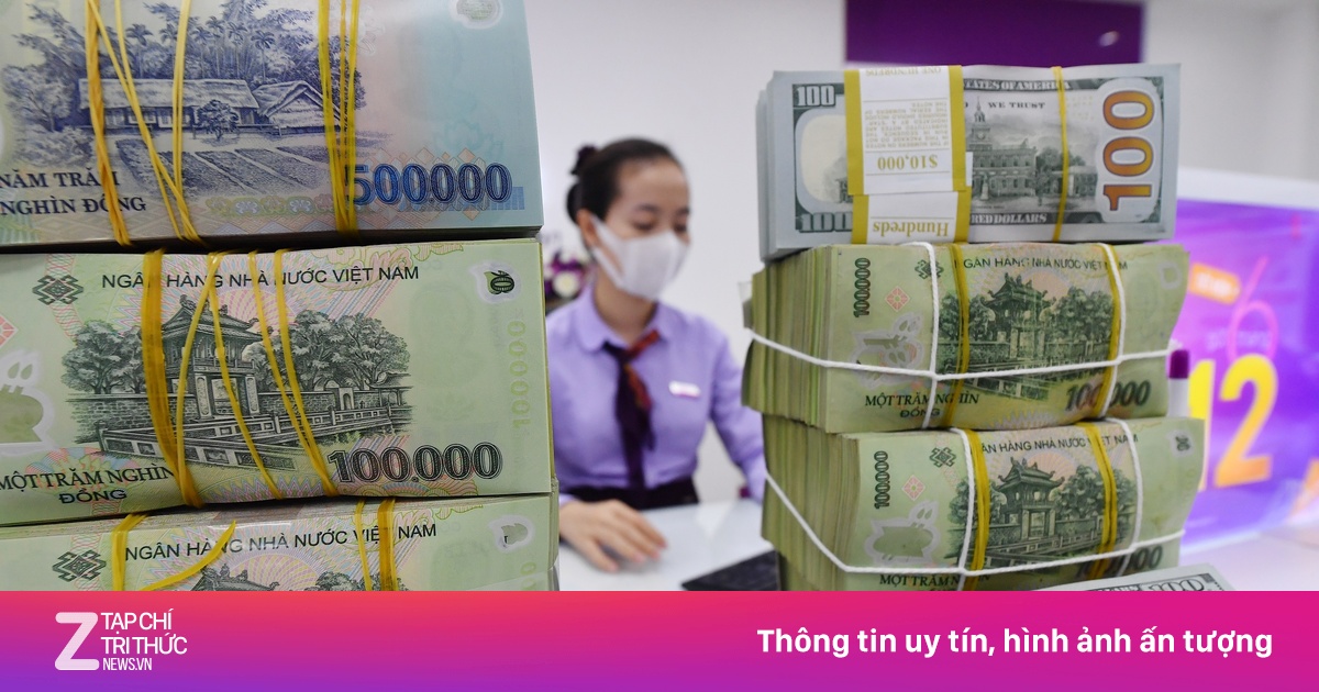 zingnews.vn