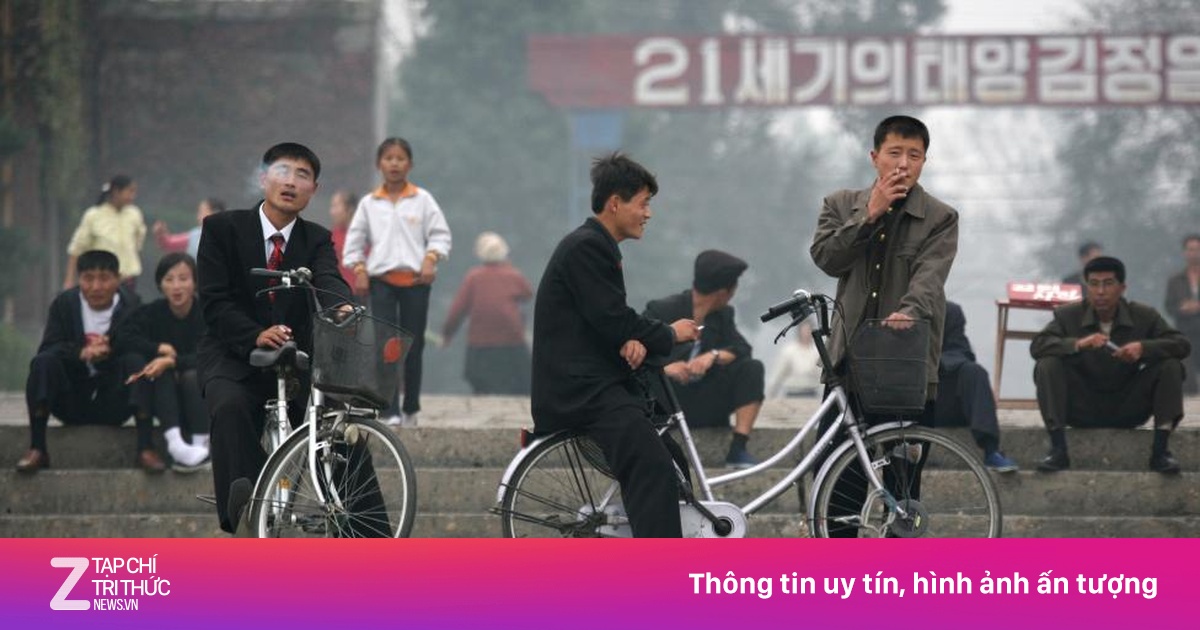 znews.vn