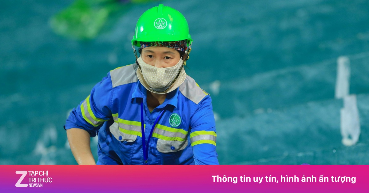 zingnews.vn