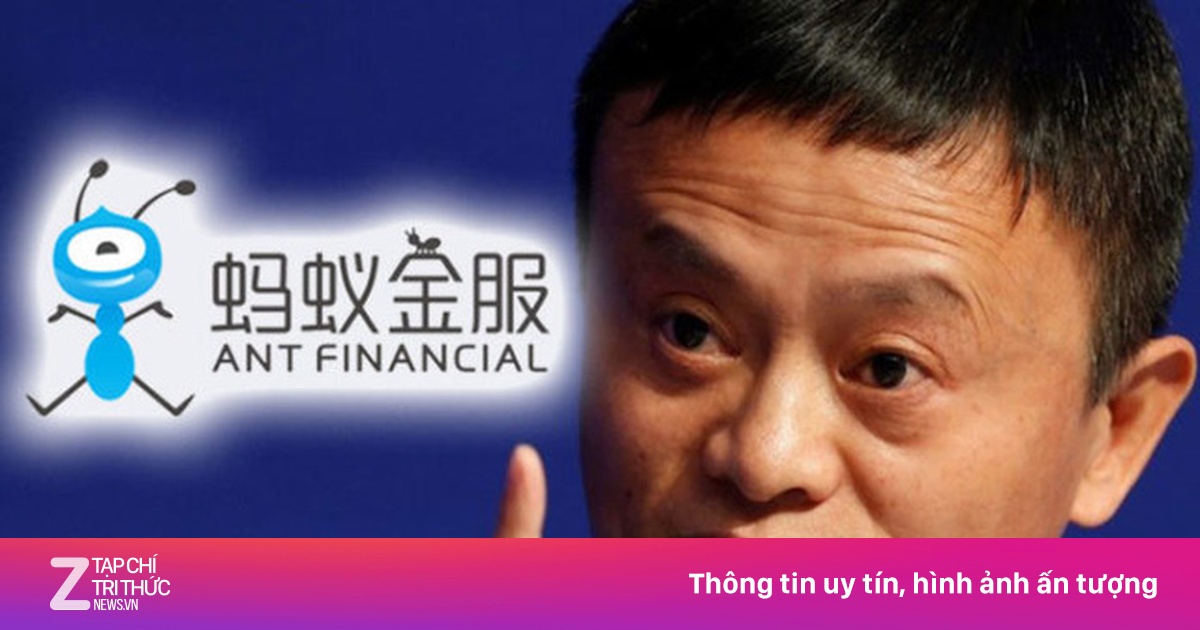 zingnews.vn