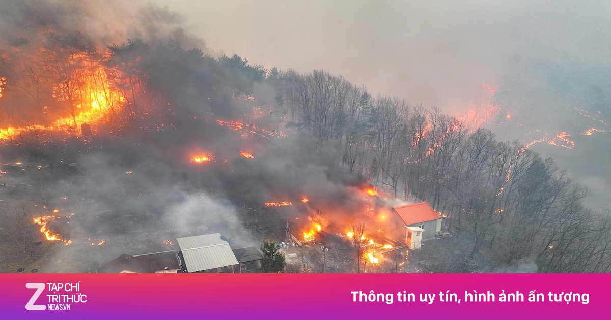 Hỏa hoạn 'khó tưởng tượng nổi' ở Hàn Quốc