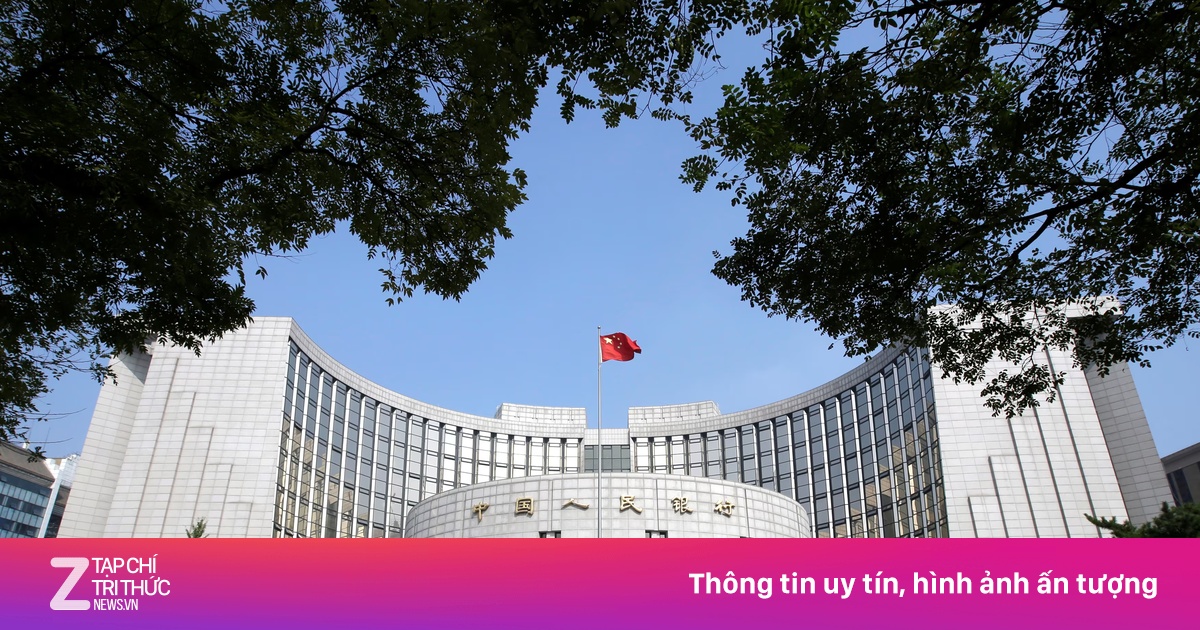 znews.vn