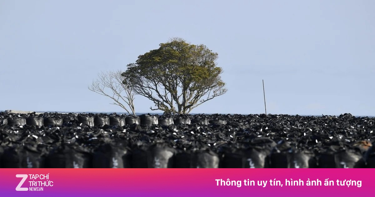 Nhật Bản rải đất nhiễm xạ từ Fukushima tại Văn phòng Thủ tướng