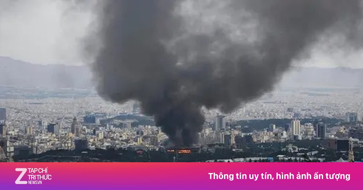 znews.vn