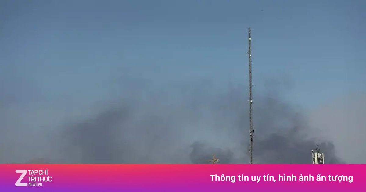 znews.vn