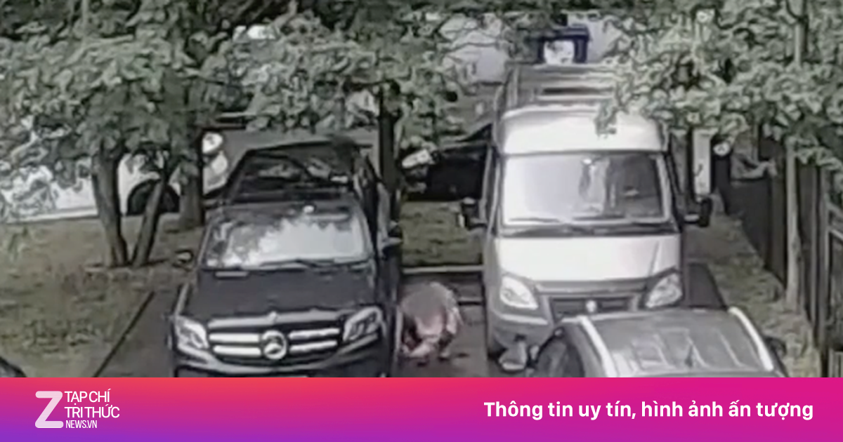 Video Nga bắt nghi phạm ám sát theo lệnh từ phía Ukraine