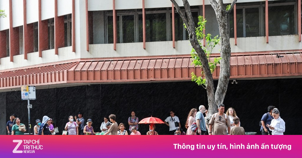 znews.vn