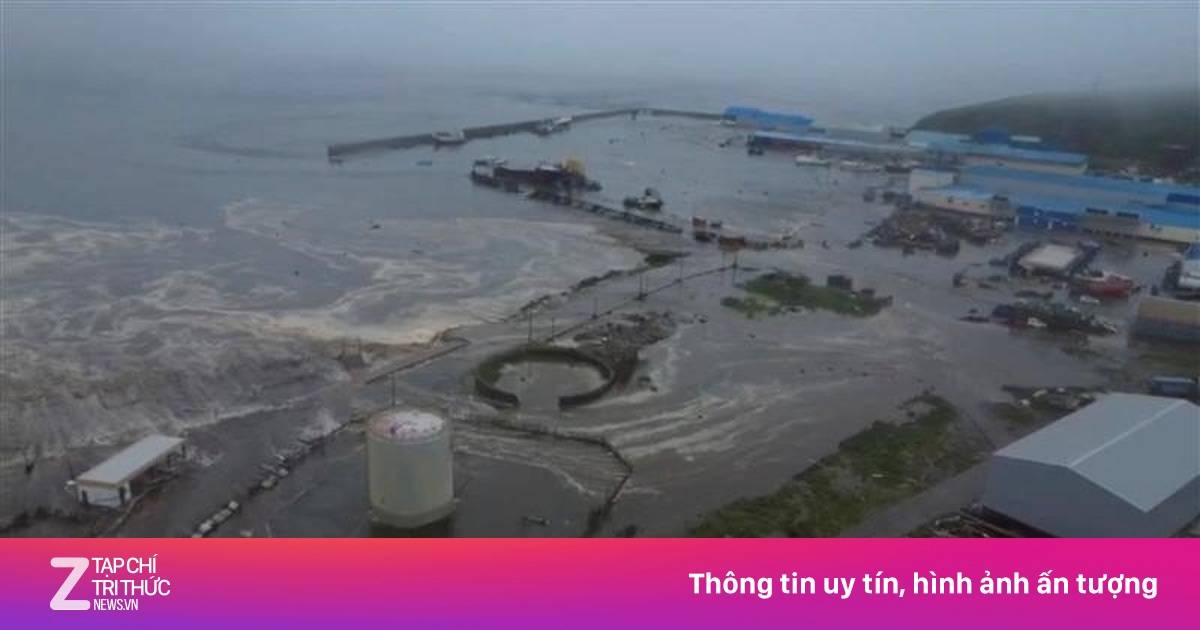 znews.vn