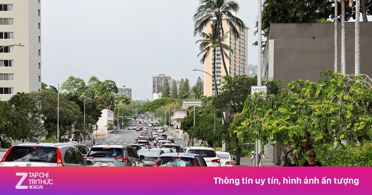 znews.vn