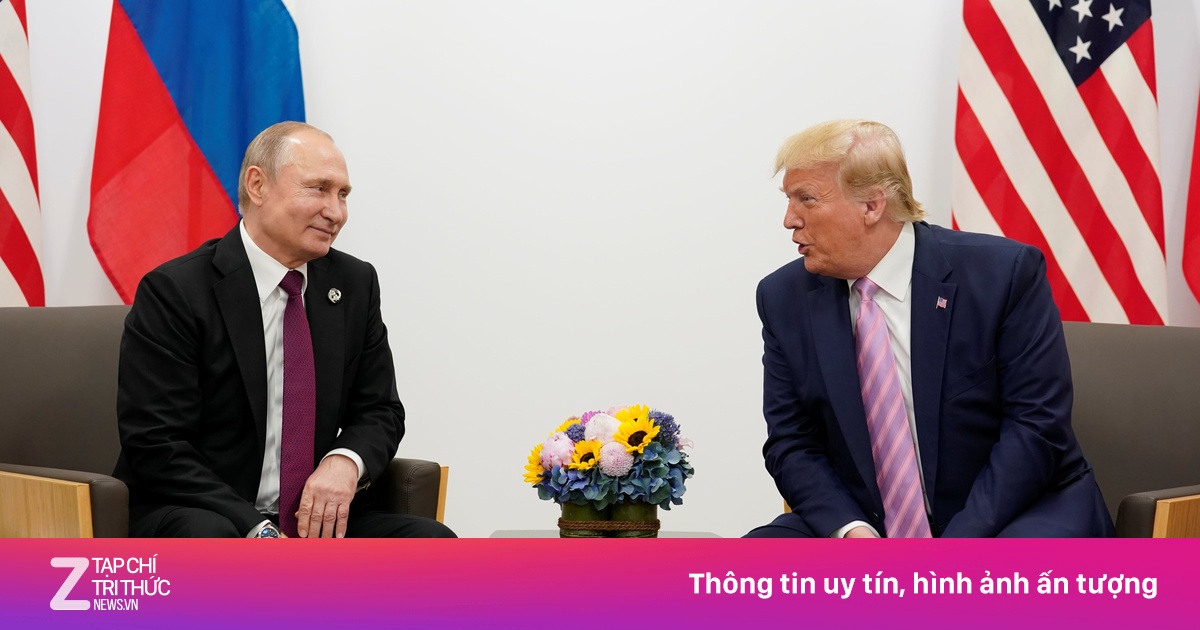 znews.vn