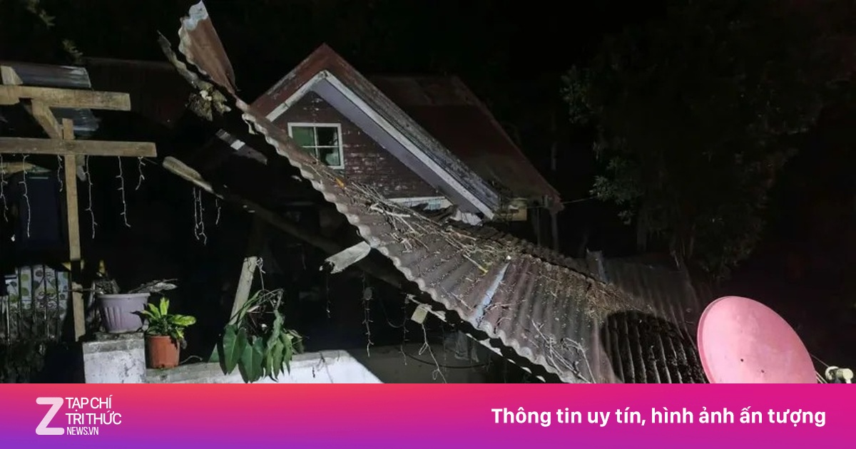 znews.vn
