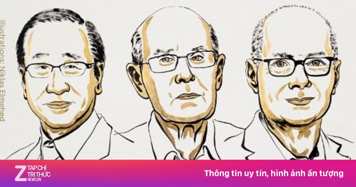 Nobel Hóa học 2025 vinh danh phát minh khung phân tử kim loại - hữu cơ