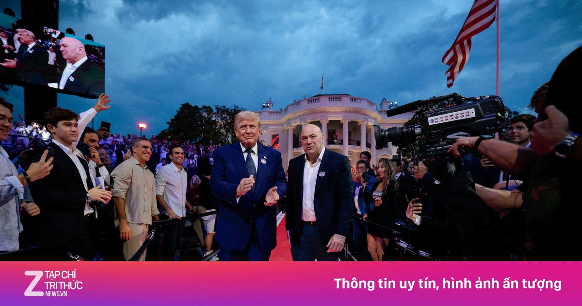 znews.vn