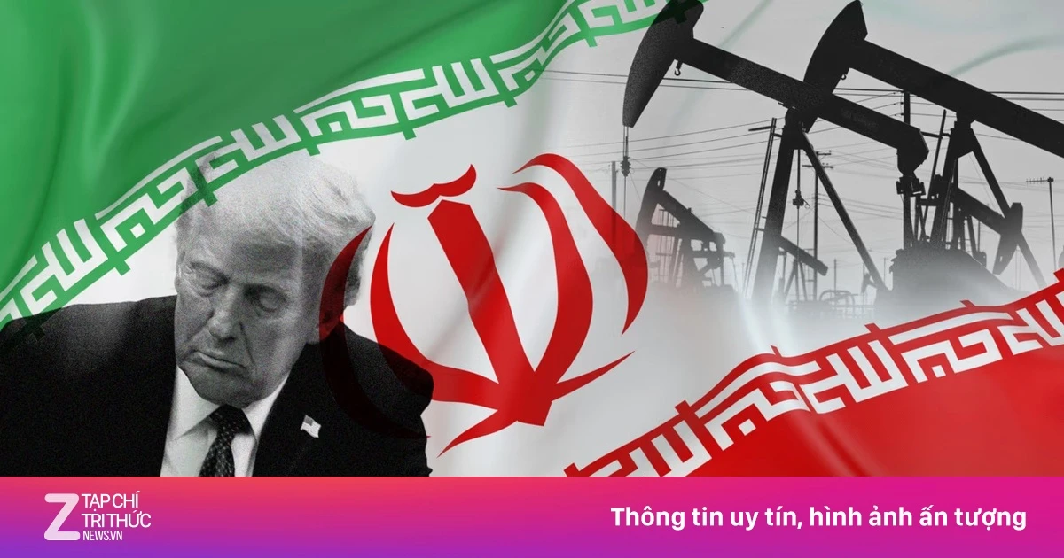 znews.vn