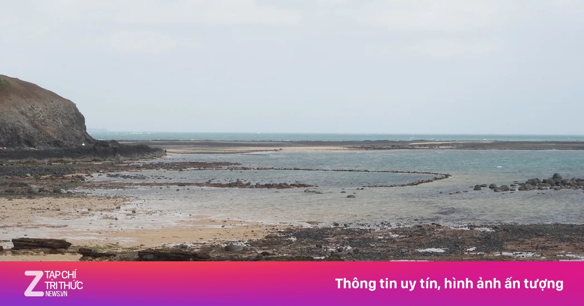 Xương hàm trôi dạt từ đáy biển hé lộ manh mối mới về loài người