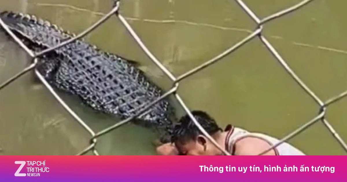 Bị tấn công vì nhầm cá sấu là tượng ở Philippines