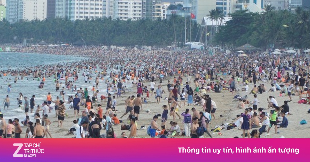 Xuất hiện sứa lửa nguy hiểm ở biển Nha Trang