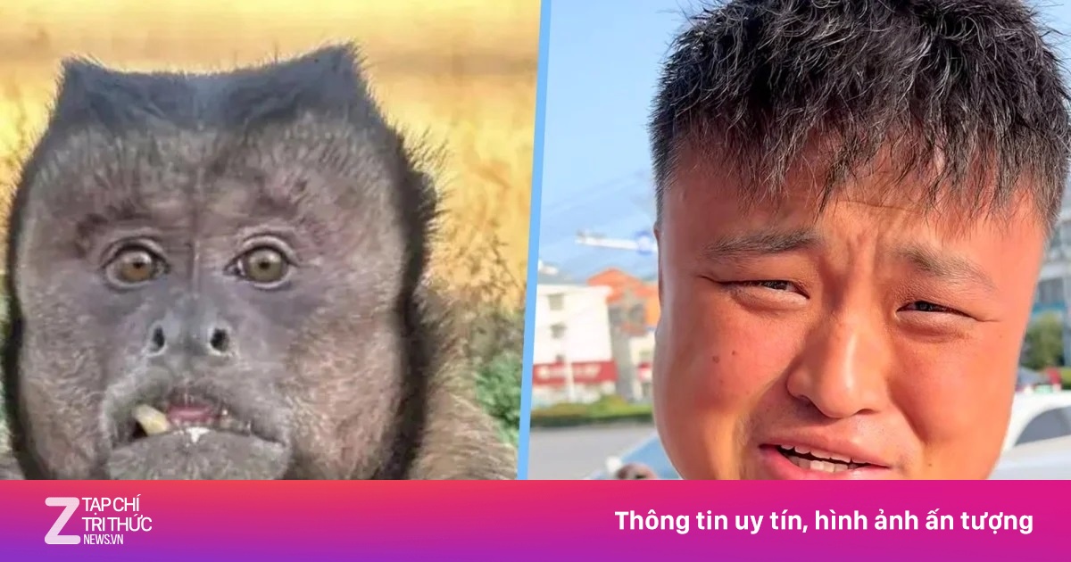 Người đàn ông muốn 'tâm sự' với khỉ mặt vuông gây sốt ở Trung Quốc