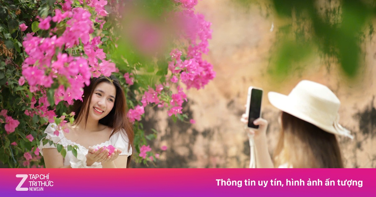 Khách đổ xô tìm con đường hoa giấy 'sống ảo' tại Nha Trang