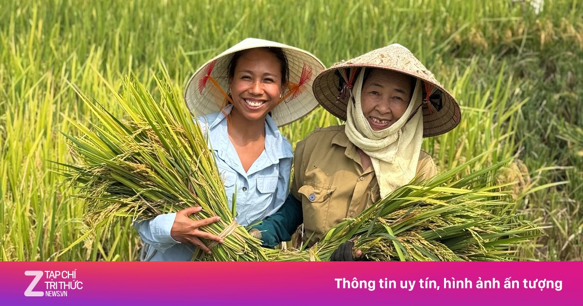 Dẫn khách Tây đón con tan học, thăm bà đẻ, xem nghĩa trang