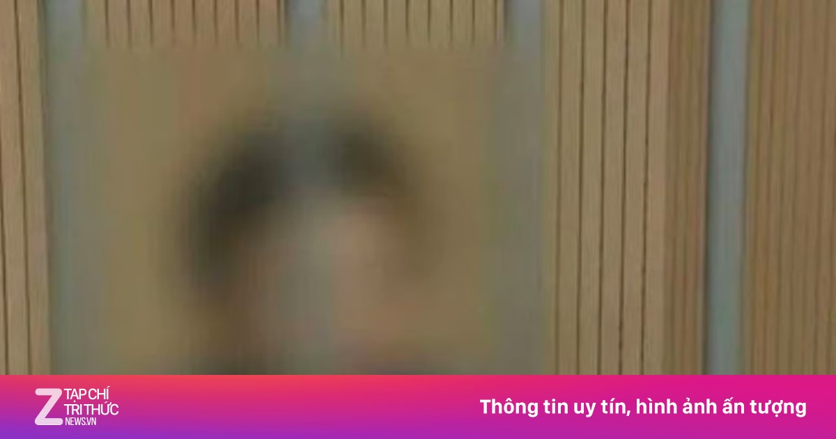 Nam thanh niên Trung Quốc ăn cắp tiền để đi 120 chuyến du lịch