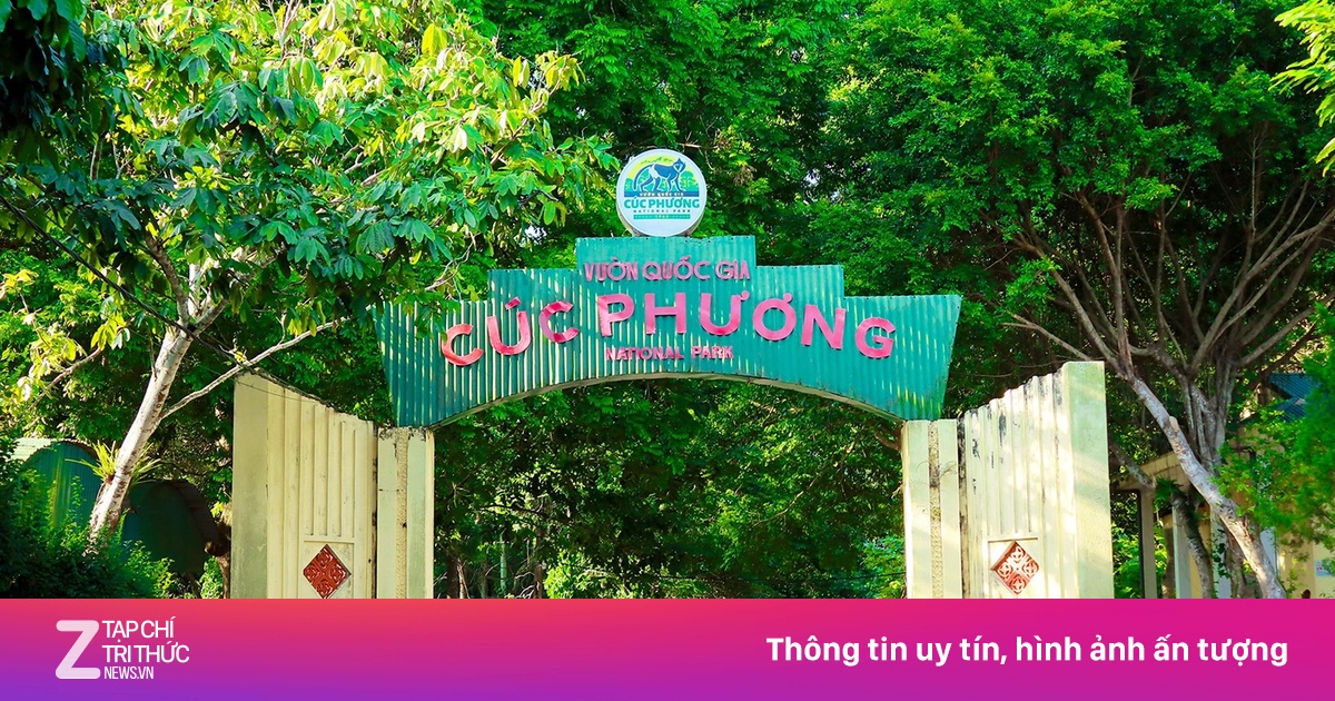 Image hình ảnh hình ảnh hình ảnh hình ảnh Fornazari - Du khách mất tích nhiều ngày trong rừng Cúc Phương - Địa điểm du lịch