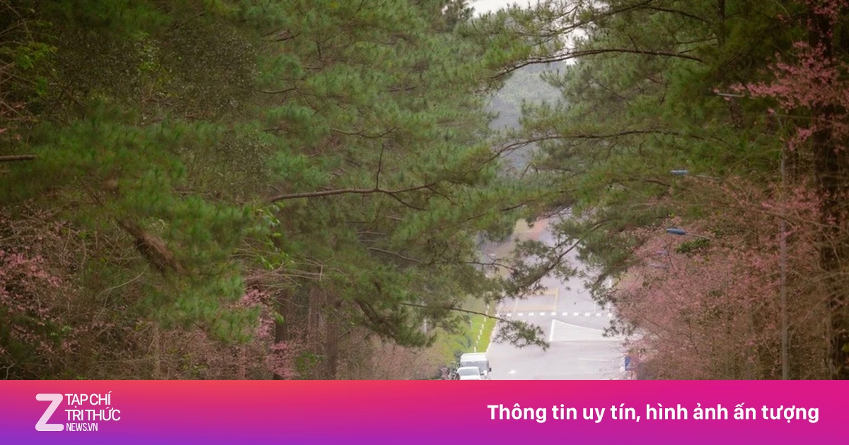 Măng Đen không thiệt hại dù động đất liên tiếp