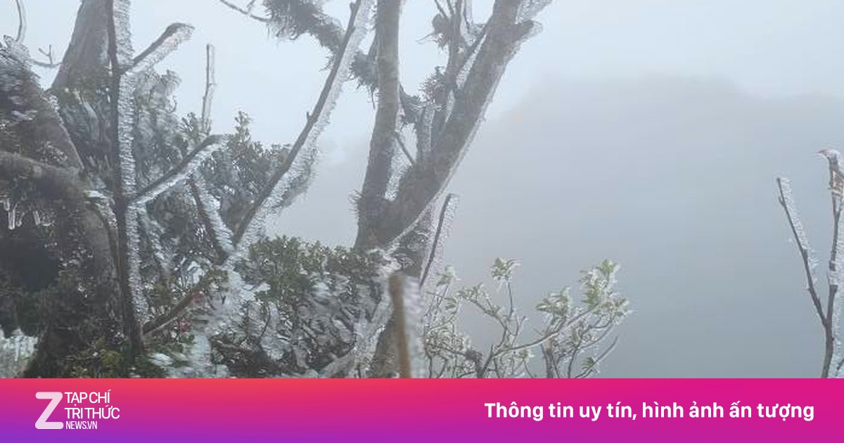 Tà Xùa bất ngờ xuất hiện băng giá