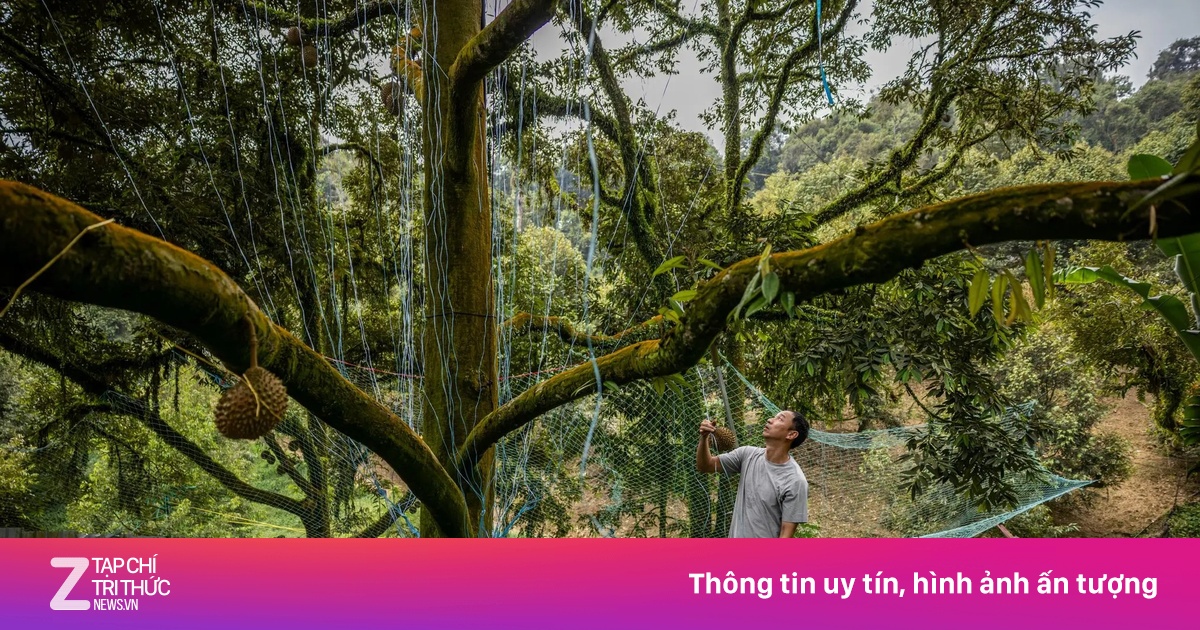 Bộ trưởng Malaysia phê phán thái độ 'Anh có biết tôi là ai không?' với du khách